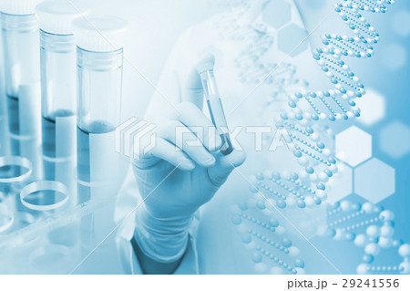 医療・研究イメージ　 29241556
