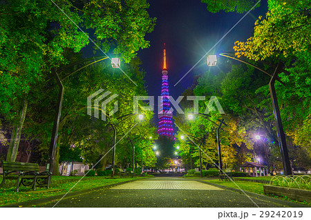 【東京都】夜の都市風景 【東京都】夜の都市風景 29242019