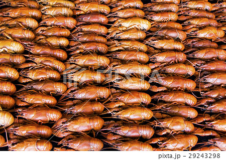 Many crawfishes Many crawfishes 29243298