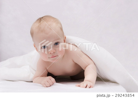 Lovely toddler boy looking at camera Lovely toddler boy looking at camera 29243854