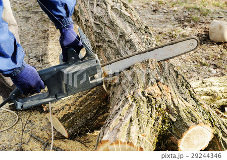 The electric chain saw in a man's hands. The electric chain saw in a man's hands. 29244346