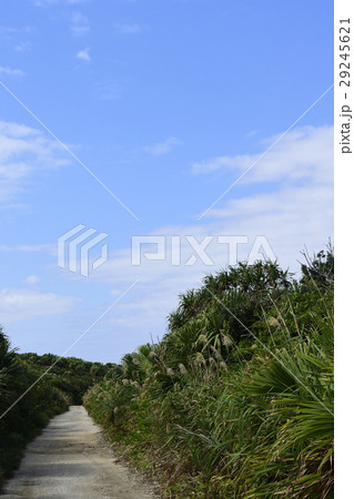 沖縄 久高島 沖縄 久高島 29245621