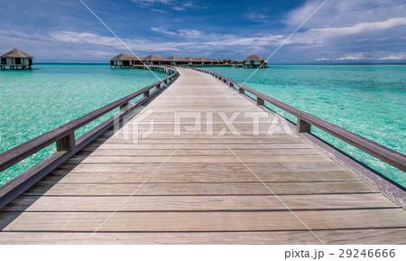 Beautiful beach with water bungalows 29246666