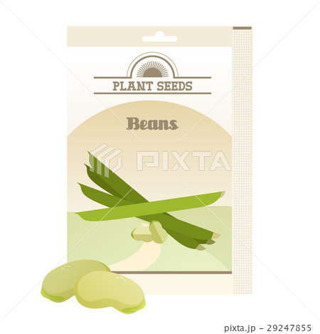 Beans seed pack 29247855