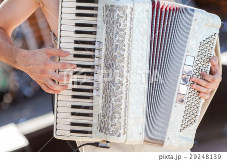 the man playing an accordion. the man playing an accordion. 29248139