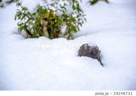 雪の圓光寺の地蔵 雪の圓光寺の地蔵 29248731