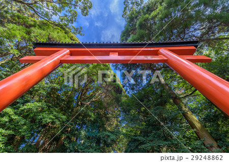 霧島神宮 霧島神宮 29248862