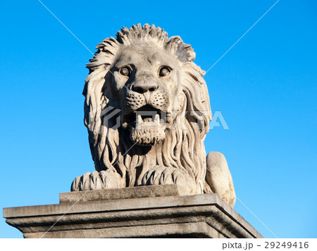 Lion sculpture on Chain Bridge in Budapest 29249416