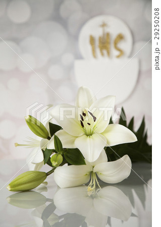 Holy communion a golden chalice with grapes Holy communion a golden chalice with grapes 29250208
