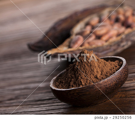 Cacao beans and powder and food dessert background 29250256