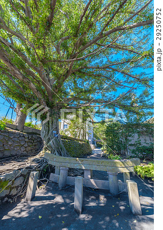 黒神埋没鳥居 29250752