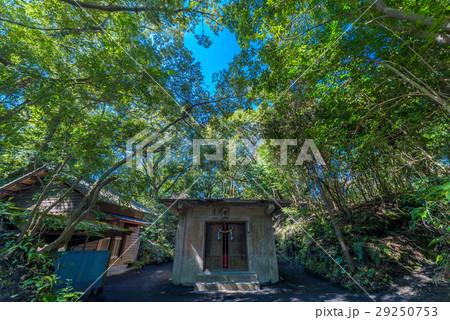 黒神埋没鳥居 黒神埋没鳥居 29250753