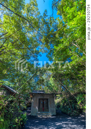 黒神埋没鳥居 黒神埋没鳥居 29250754