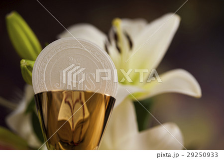 Symbol christianity religion a golden chalice Symbol christianity religion a golden chalice 29250933