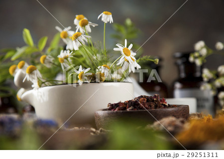 Alternative medicine, dried herbs and mortar Alternative medicine, dried herbs and mortar 29251311