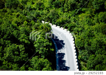 photo of the cool road surrounded by green trees photo of the cool road surrounded by green trees 29252193