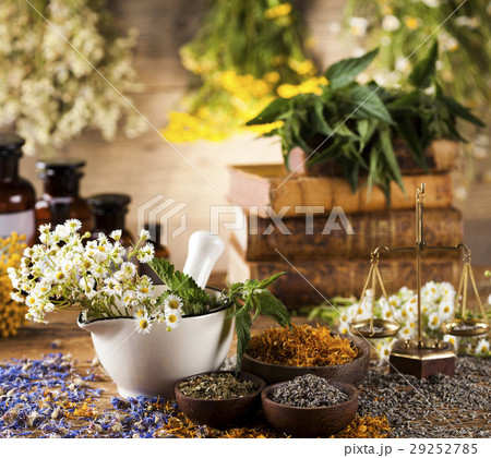 Herbs, berries and flowers with mortar 29252785