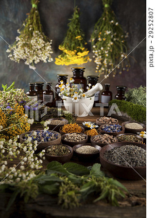 Herbs, berries and flowers with mortar, on wooden 29252807