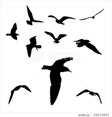 set - seagull silhouette on white background set - seagull silhouette on white background 29254605