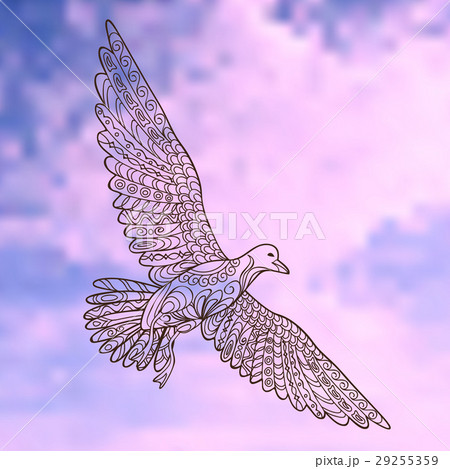seagull in the sky 29255359