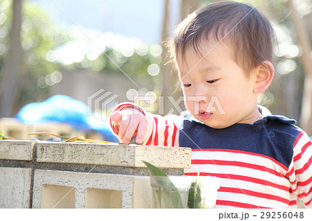 公園で遊ぶ2歳の男の子 公園で遊ぶ2歳の男の子 29256048