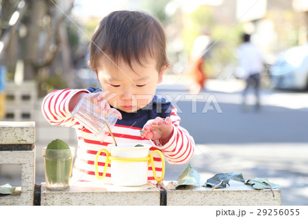 公園で遊ぶ2歳の男の子 公園で遊ぶ2歳の男の子 29256055
