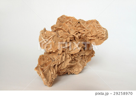 砂漠のバラ 29258970