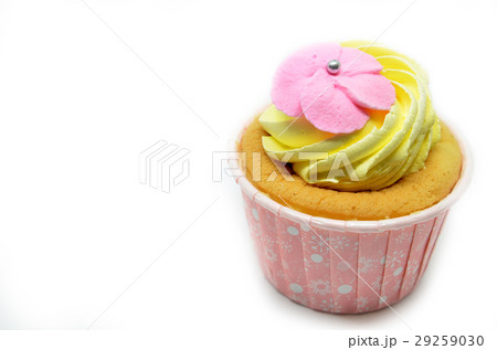 Cupcake with a pink sugar rose 29259030
