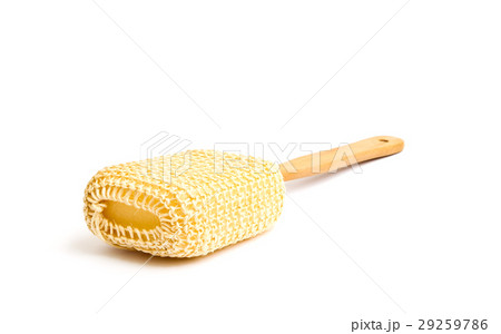 Loofah Long Handled Back Brush on white background 29259786