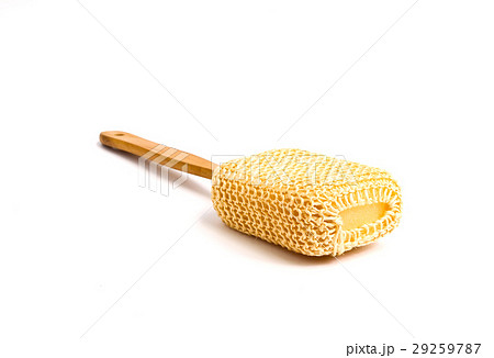 Loofah Long Handled Back Brush on white background Loofah Long Handled Back Brush on white background 29259787