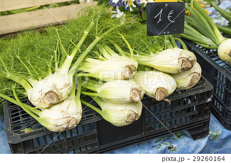 ボルドー カプサン市場　野菜売り場 29260164