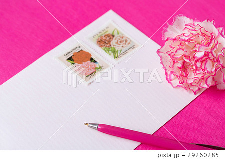 カーネーションメッセージ 29260285