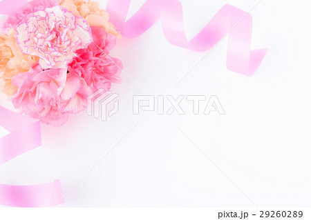 カーネーションアレンジ・イノセント 29260289