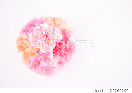 カーネーションアレンジ・イノセント 29260290