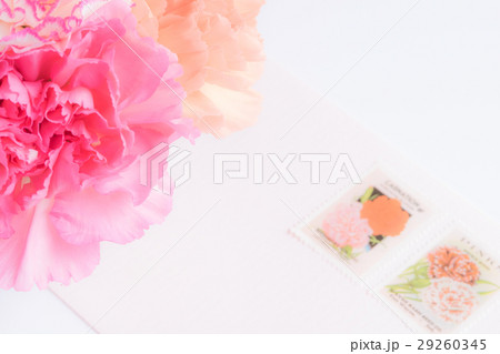 カーネーションメッセージ 29260345