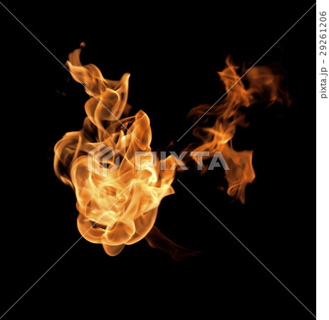 Fire flames on a black background 29261206