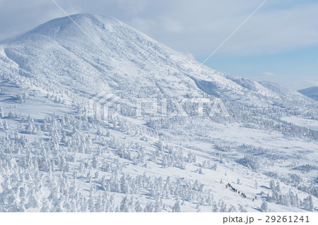厳冬の八甲田山 厳冬の八甲田山 29261241
