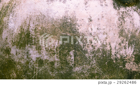 concrete with moss textured background 29262486