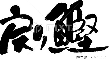 戻り鰹 戻り鰹 29263607