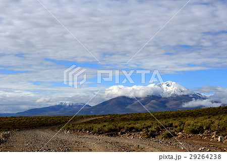 アタカマ 29264238