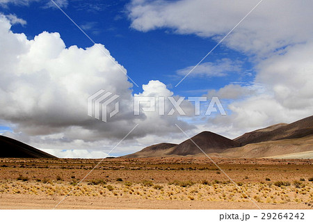 アタカマ 29264242