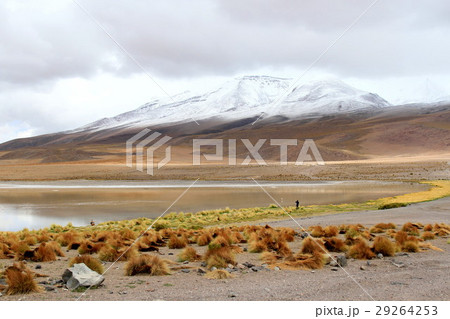 アタカマ 29264253