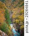 Gorge of mountain river in fall season 29264841