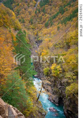 Gorge of mountain river in fall season 29264841
