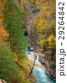 Colorful canyon of mountain river in fall season 29264842