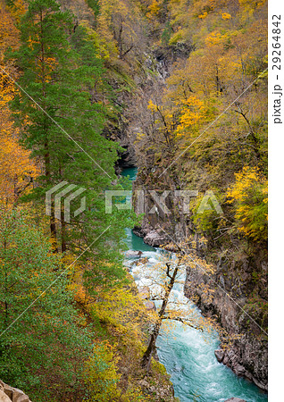 Colorful canyon of mountain river in fall season Colorful canyon of mountain river in fall season 29264842