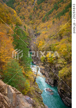 Canyon of mountain river in fall season 29264843