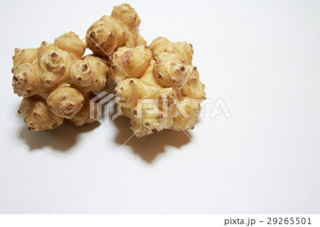 菊芋 菊芋 29265501