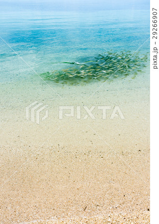 西の浜ビーチ 西の浜ビーチ 29266907