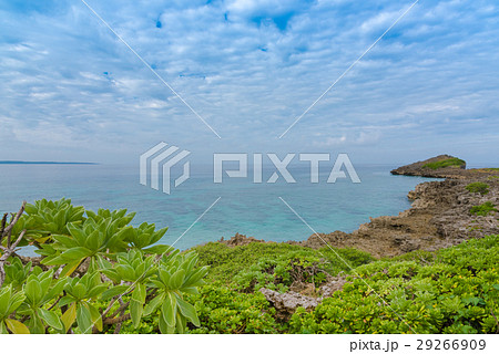 西平安名崎 29266909